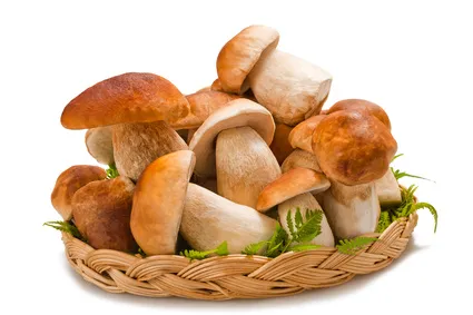 Funghi: come consumarli in tutta sicurezza            					         					   					           					